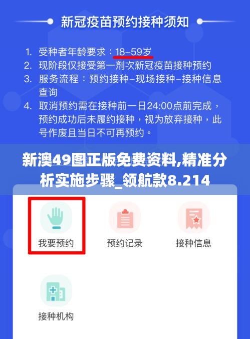 新澳49图正版免费资料,精准分析实施步骤_领航款8.214