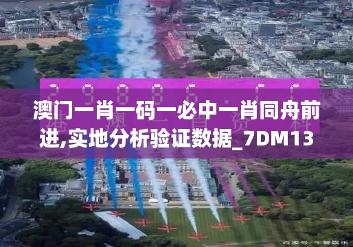 澳门一肖一码一必中一肖同舟前进,实地分析验证数据_7DM13.917