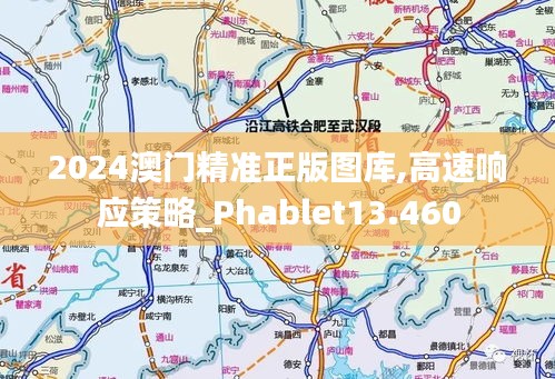 2024澳门精准正版图库,高速响应策略_Phablet13.460