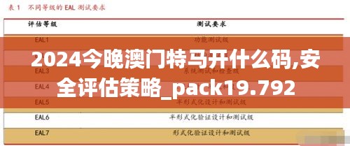 2024今晚澳门特马开什么码,安全评估策略_pack19.792