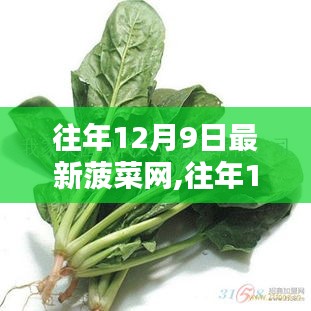 革新智能菠菜网，科技引领生活新纪元，历年12月9日最新菠菜网动态回顾