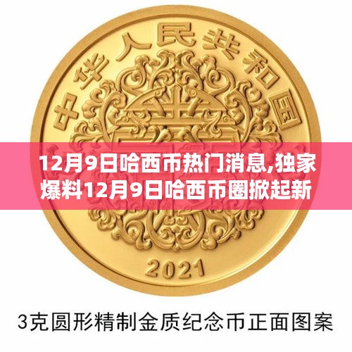 独家爆料，哈西币圈掀起新篇章——热门消息一网打尽！揭秘哈西币最新动态（12月9日）