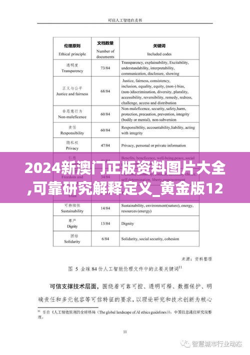 2024新澳门正版资料图片大全,可靠研究解释定义_黄金版12.132