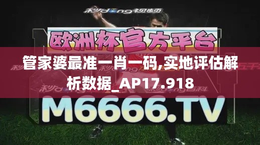 管家婆最准一肖一码,实地评估解析数据_AP17.918