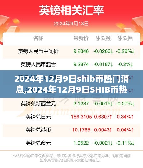 2024年12月9日SHIB币热门消息全面解读