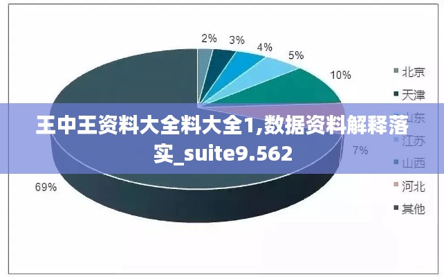 王中王资料大全料大全1,数据资料解释落实_suite9.562