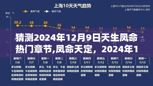 凤命天定深度解析，2024年12月9日热门章节与时代影响揭秘