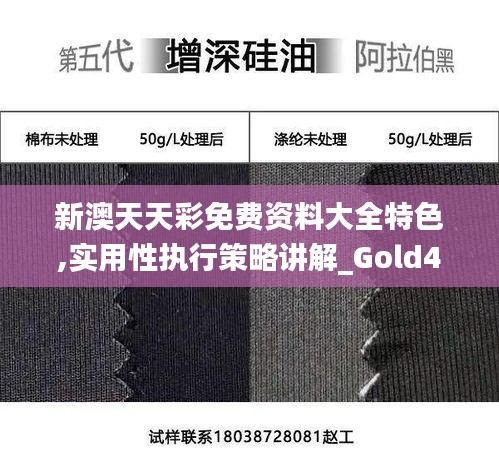 新澳天天彩免费资料大全特色,实用性执行策略讲解_Gold4.190