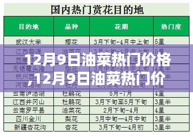 12月9日油菜热门价格全面解析，特性、使用体验与目标用户深度探讨