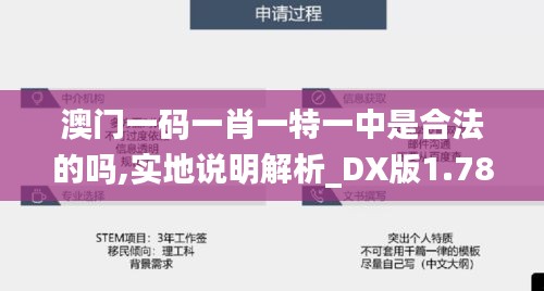 澳门一码一肖一特一中是合法的吗,实地说明解析_DX版1.784