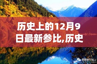 2024年12月10日 第95页