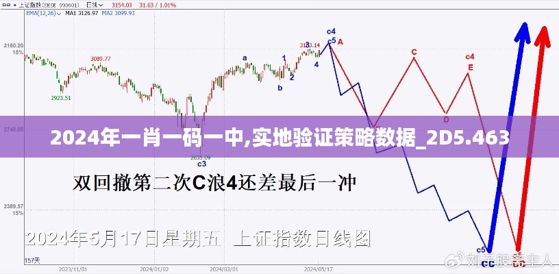 2024年一肖一码一中,实地验证策略数据_2D5.463