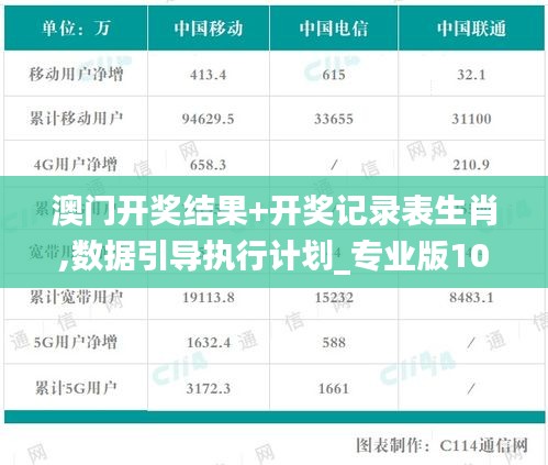 澳门开奖结果+开奖记录表生肖,数据引导执行计划_专业版10.133