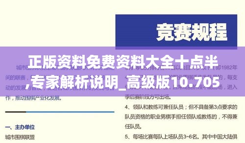 正版资料免费资料大全十点半,专家解析说明_高级版10.705