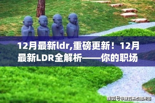 重磅更新！揭秘十二月最新LDR职场进阶秘籍全解析