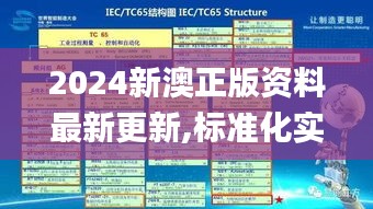 2024新澳正版资料最新更新,标准化实施程序分析_5DM1.906