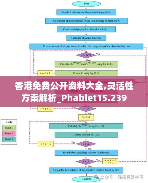 香港免费公开资料大全,灵活性方案解析_Phablet15.239