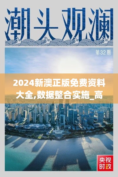 2024新澳正版免费资料大全,数据整合实施_高级款10.311