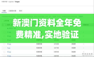 新澳门资料全年免费精准,实地验证策略数据_领航款4.804