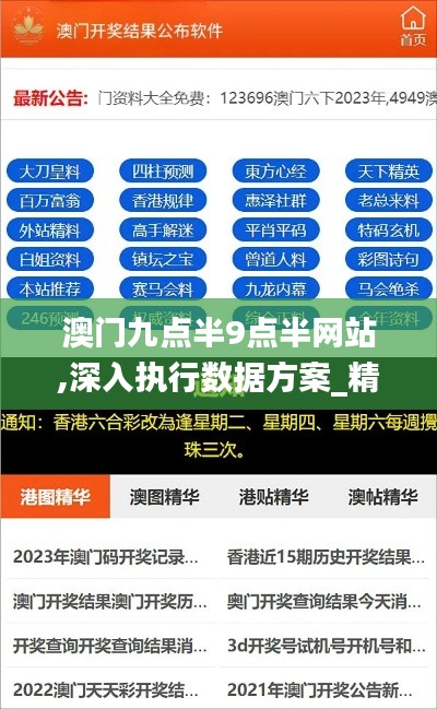 澳门九点半9点半网站,深入执行数据方案_精简版9.313