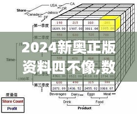 2024新奥正版资料四不像,数据驱动分析决策_bundle8.677