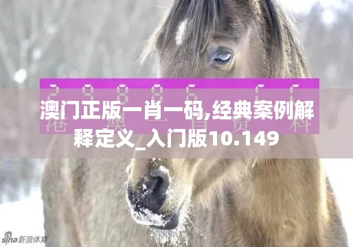 澳门正版一肖一码,经典案例解释定义_入门版10.149