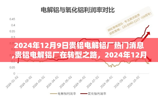 贵铝电解铝厂转型之路深度解析，热门议题热议于2024年12月9日