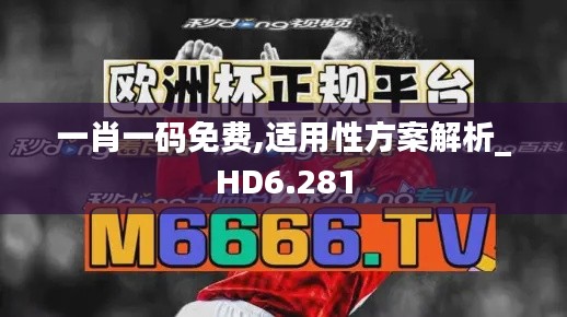 一肖一码免费,适用性方案解析_HD6.281