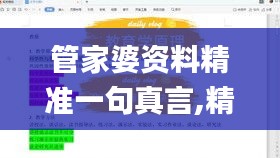 管家婆资料精准一句真言,精细化策略探讨_4K版5.662