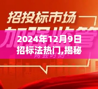 揭秘2024年招标法热点，前沿动态与行业关键议题探讨