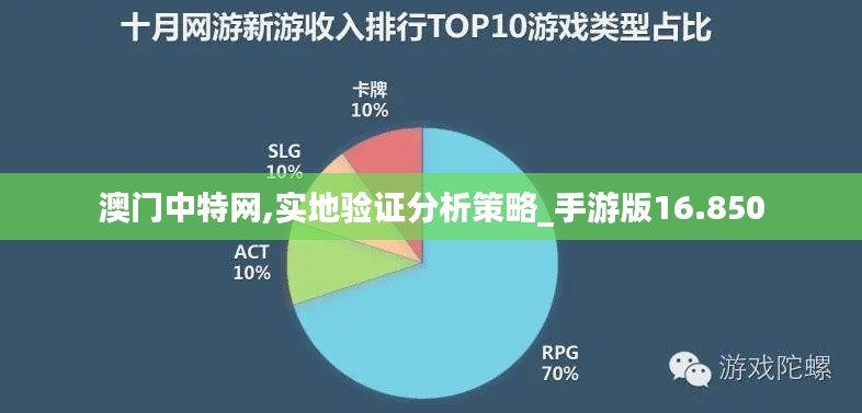 澳门中特网,实地验证分析策略_手游版16.850