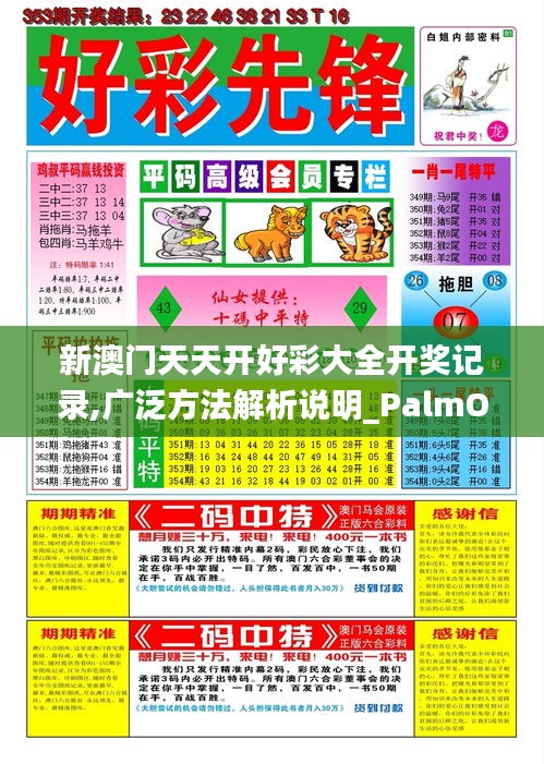 新澳门天天开好彩大全开奖记录,广泛方法解析说明_PalmOS11.549