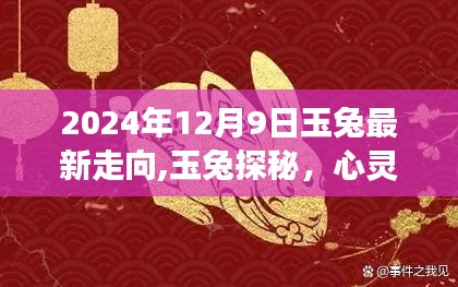 玉兔探秘自然秘境，心灵之旅启程于2024年12月9日