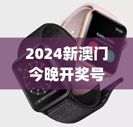 2024新澳门今晚开奖号码和香港,实时更新解析说明_watchOS1.562