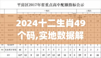 2024十二生肖49个码,实地数据解释定义_轻量版10.784