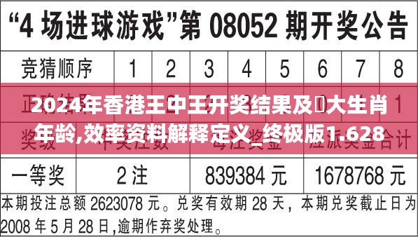 2024年香港王中王开奖结果及枓大生肖年龄,效率资料解释定义_终极版1.628