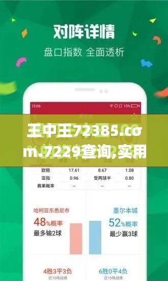 王中王72385.cσm.7229查询,实用性执行策略讲解_Max7.610