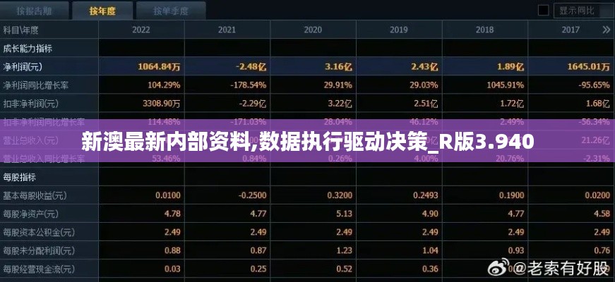 新澳最新内部资料,数据执行驱动决策_R版3.940