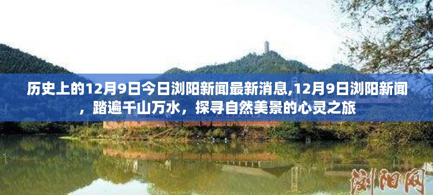 12月9日浏阳新闻热点，探寻自然美景的心灵之旅