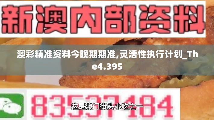 澳彩精准资料今晚期期准,灵活性执行计划_The4.395