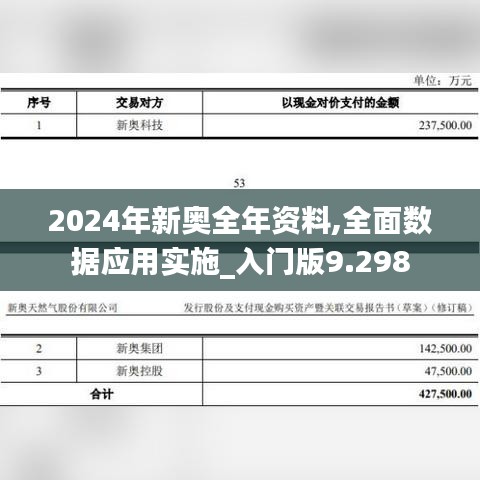 2024年新奥全年资料,全面数据应用实施_入门版9.298