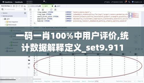 一码一肖100%中用户评价,统计数据解释定义_set9.911