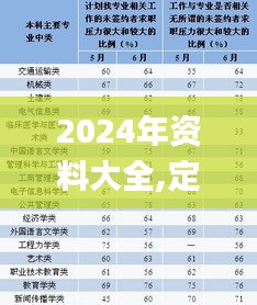 2024年资料大全,定性解答解释定义_1440p6.556