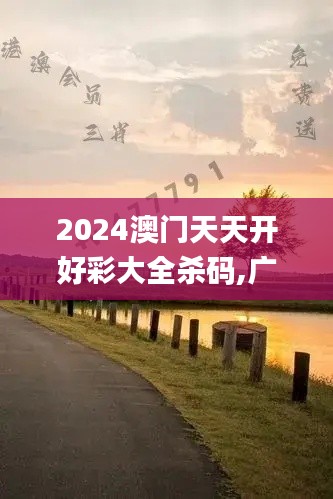 2024澳门天天开好彩大全杀码,广泛解析方法评估_SE版8.417