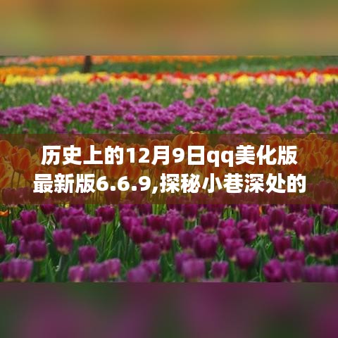 探秘小巷深处的秘密花园，揭秘QQ美化版最新版6.6.9背后的故事（历史版）