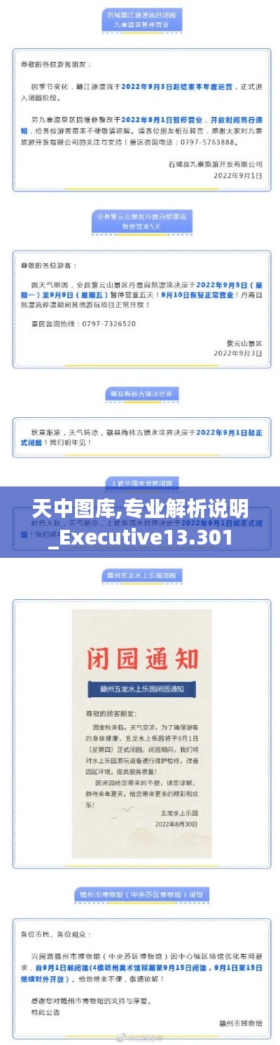 天中图库,专业解析说明_Executive13.301