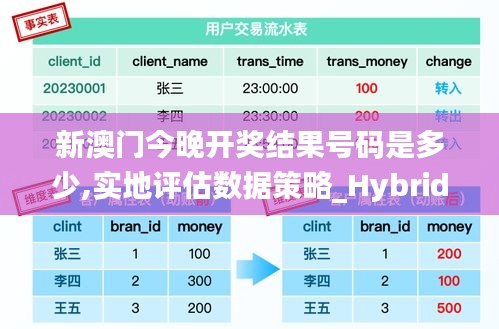 新澳门今晚开奖结果号码是多少,实地评估数据策略_Hybrid10.144