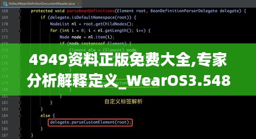 4949资料正版免费大全,专家分析解释定义_WearOS3.548