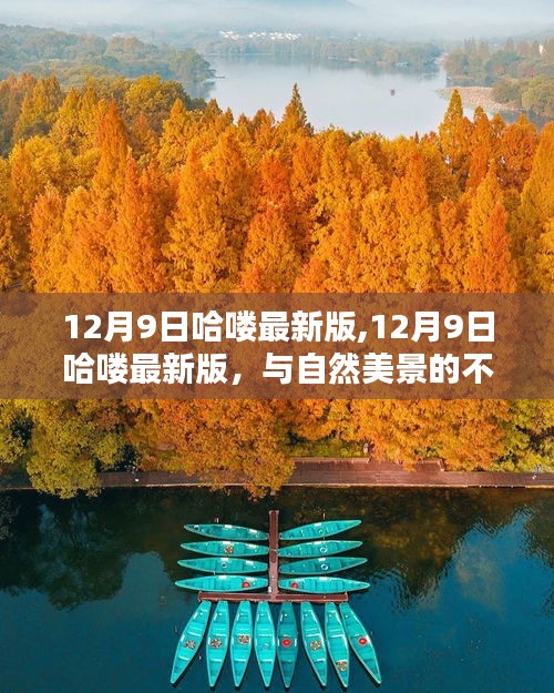 12月9日哈喽最新版，与自然美景的不解之缘，探寻内心宁静之旅