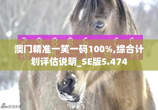 澳门精准一笑一码100%,综合计划评估说明_SE版5.474